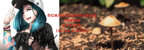 гидра Лагань